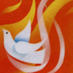 Meet your Posher, Christa joy